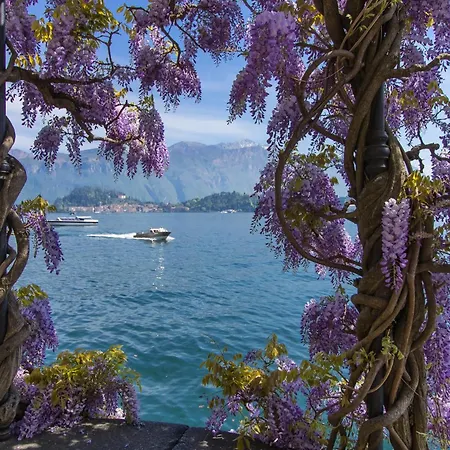 Vila San Michele - Happy
